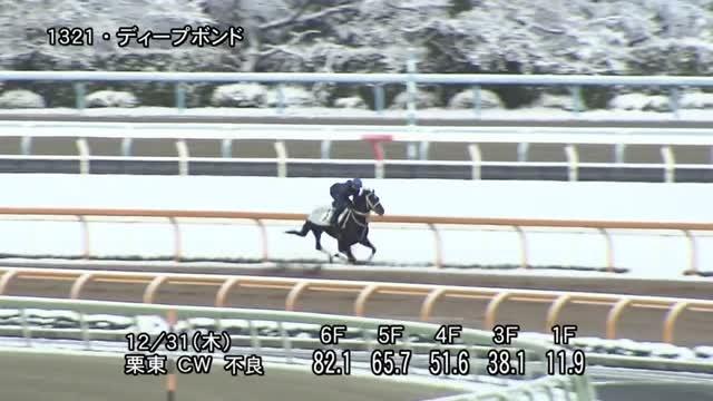 中山金杯(G3) 調教映像 | 2021年1月5日 中山11R レース情報(JRA ...