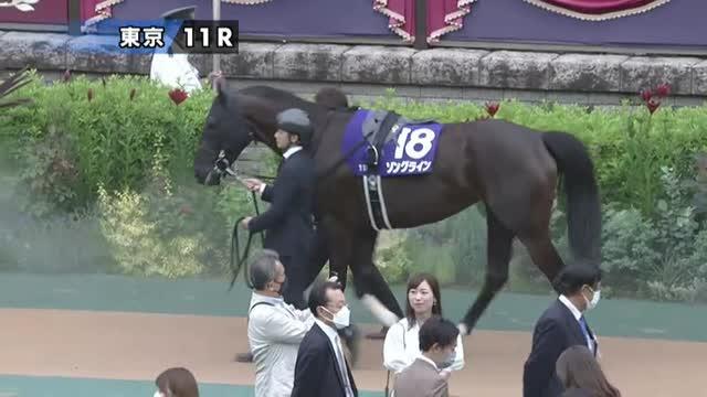 毎日王冠2024特集 | netkeiba 競馬予想・結果・速報・オッズ・出馬表 