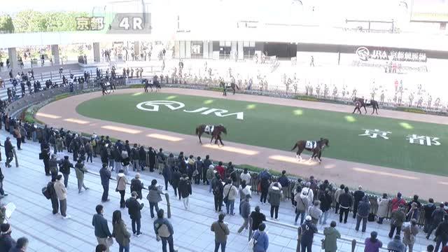 2歳未勝利 レース結果 | 2024年12月15日 京都4R - netkeiba