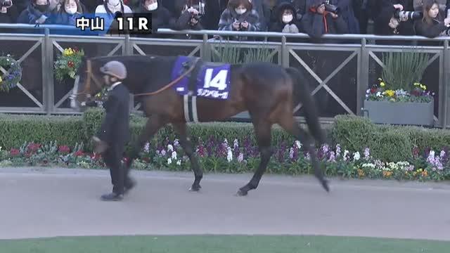 競馬　シャフリヤール　クロス ジャケット シャフリヤール｜netkeibaショップ 公式競馬グッズ販売サイト