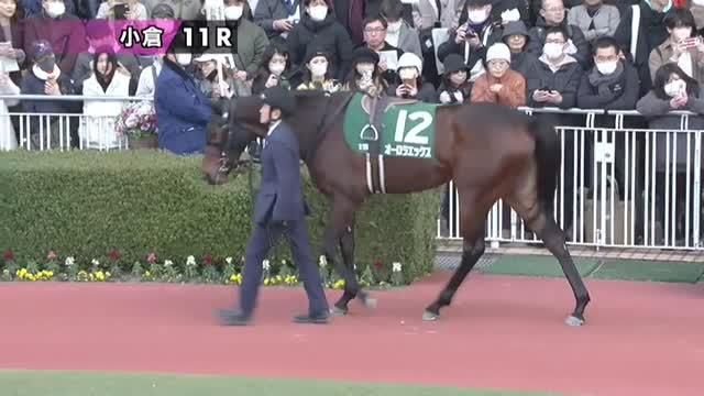【中古】 競馬探偵Ｘ３０レースの鍵 １９９９年３～８月限定予想/メタモル出版/競馬探偵Ｘ 61d74gk0NjL._UF894,1000_QL80_.jpg