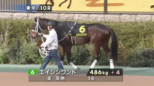 エイシンワンド (A Shin Wand) | 競走馬データ - netkeiba