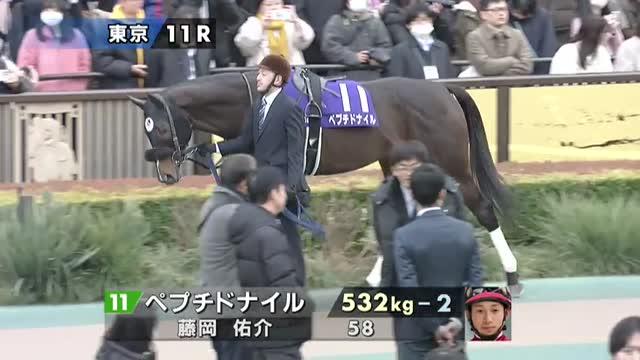 ペプチドナイル (Peptide Nile) | 競走馬データ - netkeiba