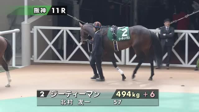 大きな馬 netkeiba on X: 