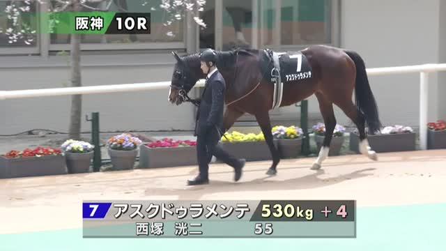 アスクドゥラメンテ (Ask Duramente) | 競走馬データ - netkeiba