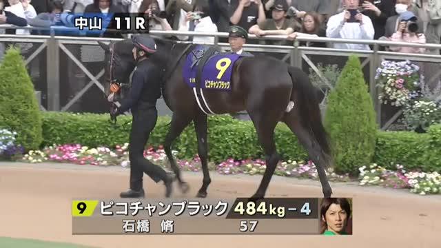 ８・群馬県・やまちゃん ・ブラックジャック ピコチャンブラック (Piko Chan Black) | 競走馬データ - netkeiba