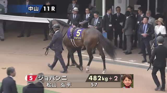 Amazon.co.jp: 競馬ミニゼッケン ダノンデサイル 日本ダービー