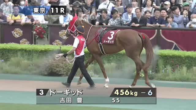 ドーギッド (Dogged) | 競走馬データ - netkeiba
