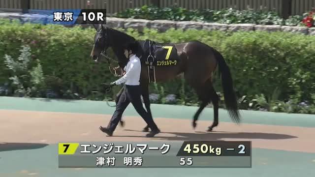 馬ページ イノリ (Inori) | 競走馬データ - netkeiba