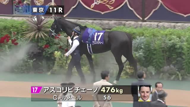 アスコリピチェーノ (Ascoli Piceno) | 競走馬データ - netkeiba