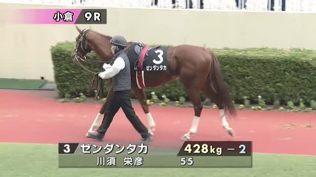 DID】E60082 Brown-Red War Horse (Standing) ネイサン大尉 愛馬