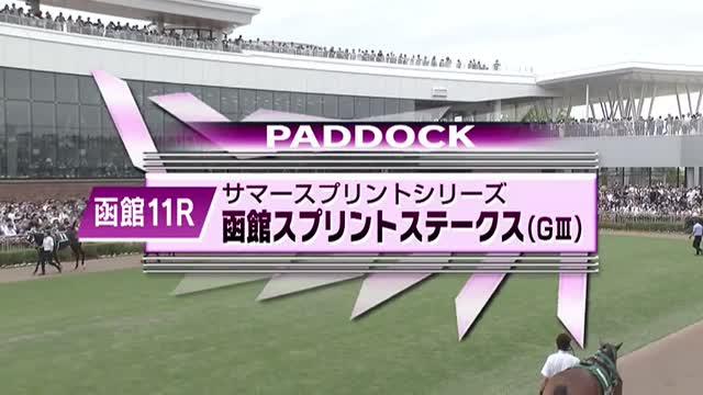2025年 函館競馬場 函館スプリントS レプリカゼッケン レイべリング 2025年 函館競馬場 函館スプリントS レプリカゼッケン レイべ