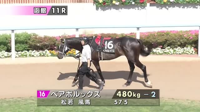 当選品】札幌競馬場　キーンランドカップ　レプリカゼッケン　シナモンスティック 当選品】札幌競馬場 キーンランドカップ レプリカゼッケン