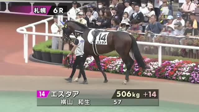 馬です キッコベッロ (Kikko Bello) | 競走馬データ - netkeiba