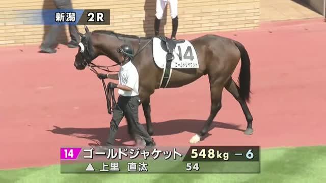 ゴールドジャケット (Gold Jacket) | 競走馬データ - netkeiba