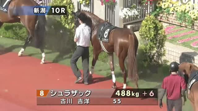 シュラザック (Slazak) | 競走馬データ - netkeiba