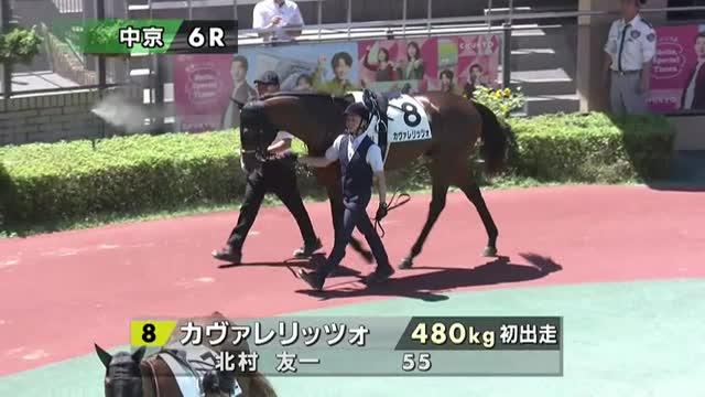 馬様 ペルウィクトール (Pervictor) | 競走馬データ - netkeiba