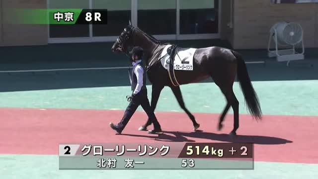 競馬 THE LINK 絶対連動 発見！永遠に続くJRA馬番リンク ティーズリンク (T's Link) | 競走馬データ - netkeiba