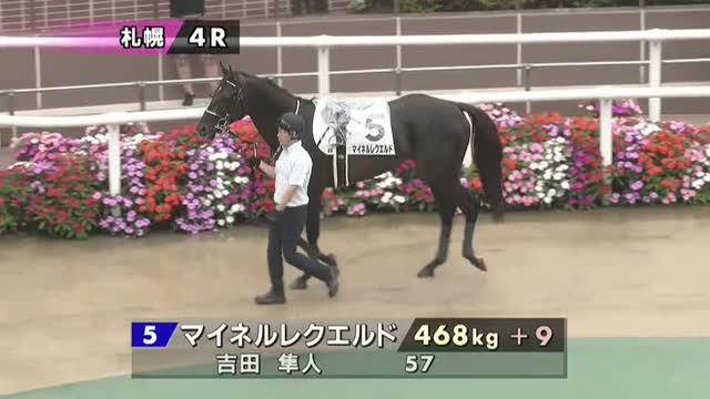 マイネル様 ご購入予定品 マイネルレクエルド (Meiner Recuerdo) | 競走馬データ - netkeiba