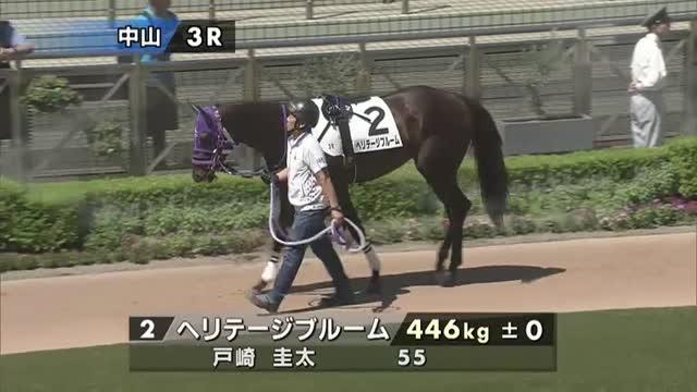 ヘリテージブルーム (Heritage Bloom) | 競走馬データ - netkeiba