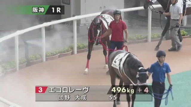 エコロレーヴ (Ecoro Reve) | 競走馬データ - netkeiba