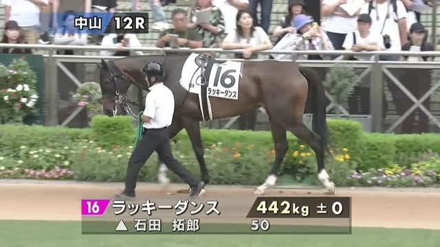 ［新品］馬と踊ろう Dancing with Horses 🐴 🎵 The 