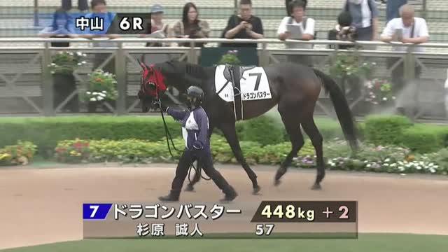 ドラゴンバスター ABCドラゴンバスター【クォーターセンチュリーシークレット