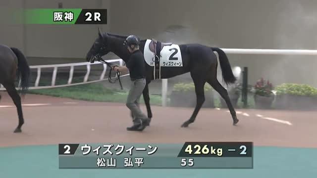 馬です ロンバルドシチー (Lombardo City) | 競走馬データ - netkeiba