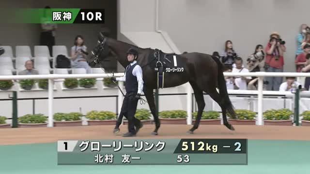 競馬 THE LINK 絶対連動 発見！永遠に続くJRA馬番リンク ティーズリンク (T's Link) | 競走馬データ - netkeiba