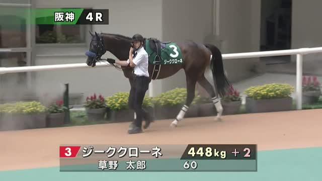 目覚めし真の力　寧子　ジーククローネ ジーククローネ サインカード3枚セット - メルカリ
