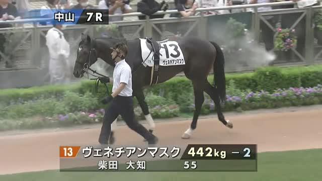 ヴェネチアンマスク (Venetian Mask) | 競走馬データ - netkeiba