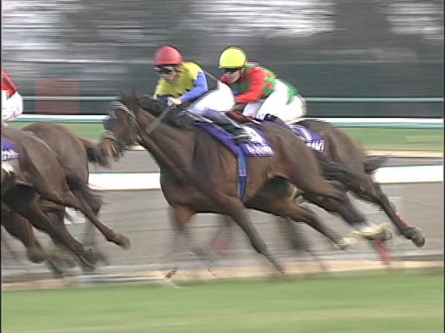 競馬ファンが選ぶ「ディープインパクトのベストレース・思い出のレース