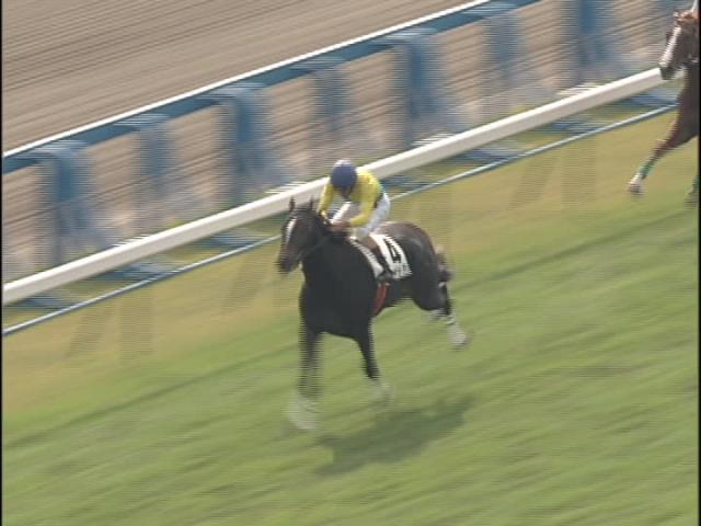 記憶と記録に残る名牝・ウオッカの軌跡 | 競馬まとめ - netkeiba.com