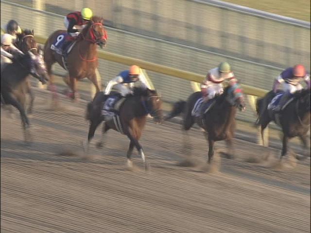 ☆ディープインパクト号☆若駒ステークス現地的中単勝馬券プラスおまけ