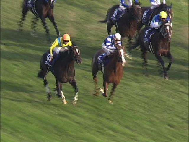 天皇賞（秋）(G1) 結果・払戻 | 2008年11月2日 東京11R レース情報(JRA