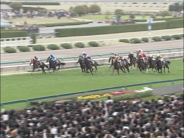 桜花賞(G1) 結果・払戻 | 2008年4月13日 阪神11R レース情報(JRA