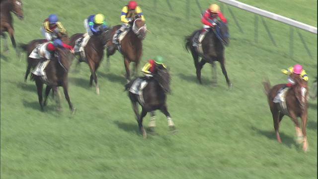 東京優駿(G1) 結果・払戻 | 2012年5月27日 東京10R レース情報(JRA