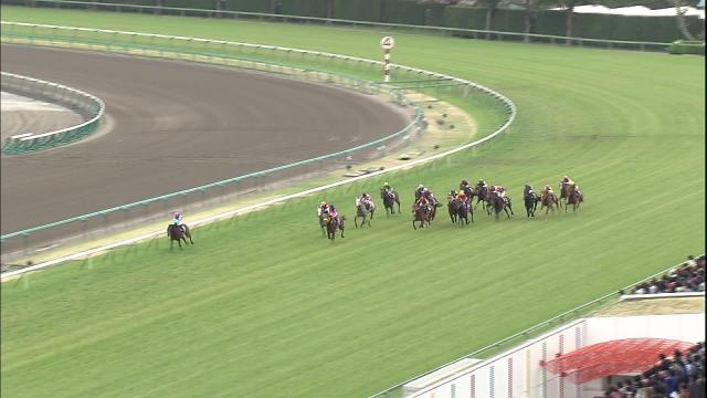 ゴールドシップ 特大A1サイズポスター 2012年皐月賞 競馬 競走馬 64 ...