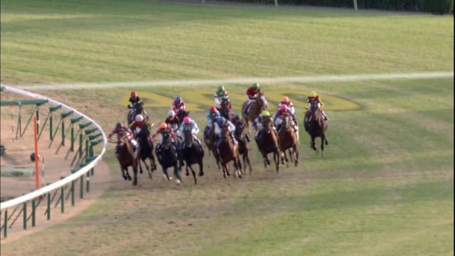 有馬記念 G1 レース映像 2012年12月23日 中山10r レース情報 Jra Netkeiba Com