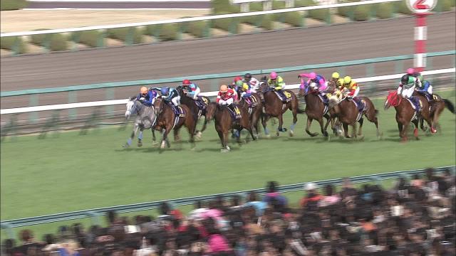 値下・値下げ JRA単勝馬券【シンセカイ 98年阪神競馬3回3日8レース