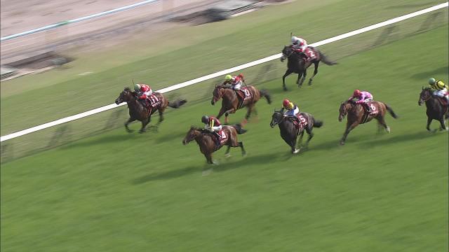 現地購入的中単勝馬券【99年マイラーズカップ】エガオヲミセテ-