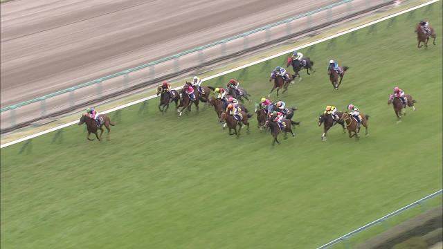 桜花賞(G1) 結果・払戻 | 2014年4月13日 阪神11R レース情報(JRA