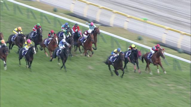 天皇賞（秋）(G1) 結果・払戻 | 2015年11月1日 東京11R レース情報(JRA