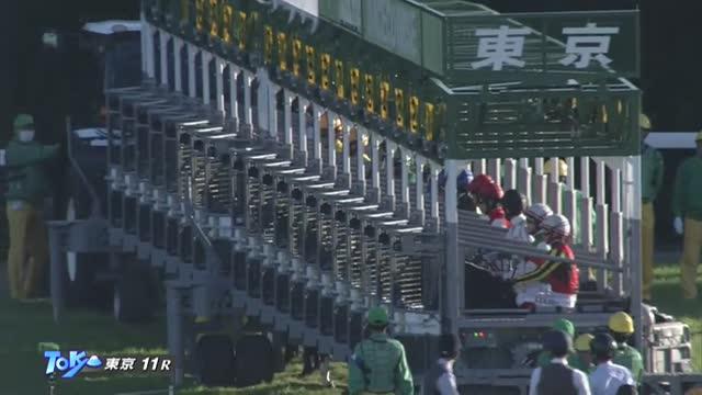 富士S レース映像