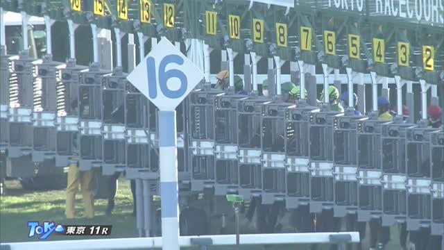 武蔵野S2021 レース映像