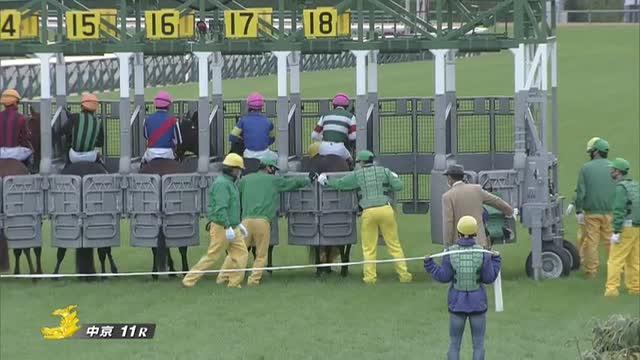 中日新聞杯2021 レース映像
