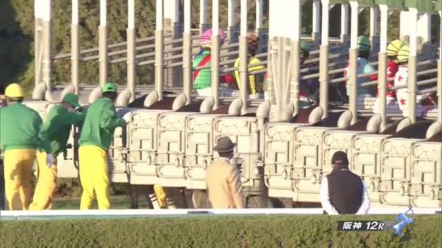 京阪杯2021 レース映像