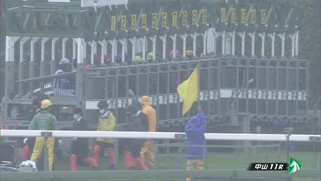 日経賞 レース映像