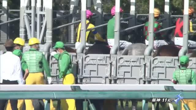 阪神牝馬S レース映像