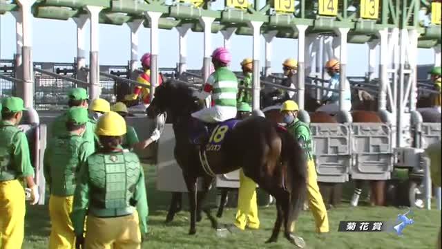 菊花賞2022 レース映像